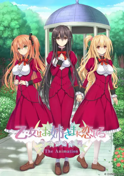 Постер аниме Девушка влюбилась в старшую сестру: Три мерцающие звезды